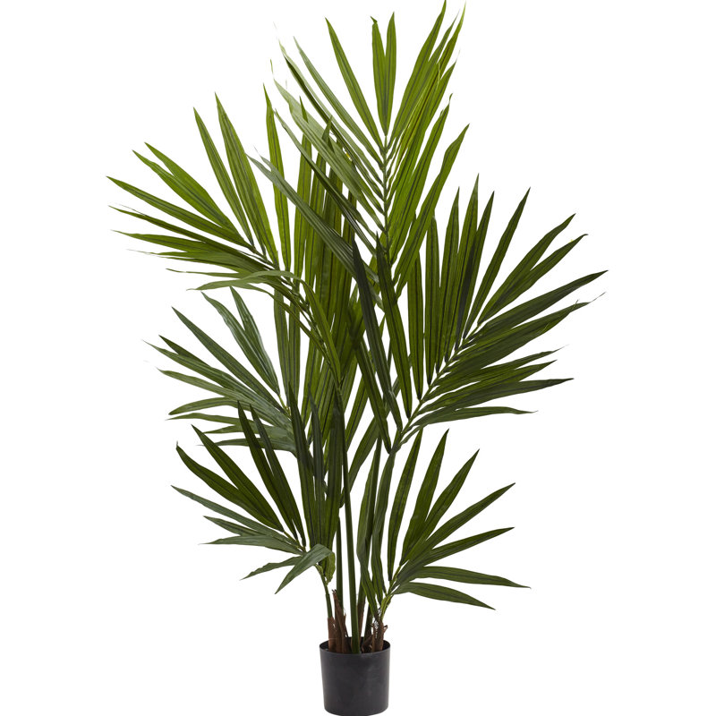 Nearly Natural Kentia Palm Silk Tree in Pot & Reviews Wayfair